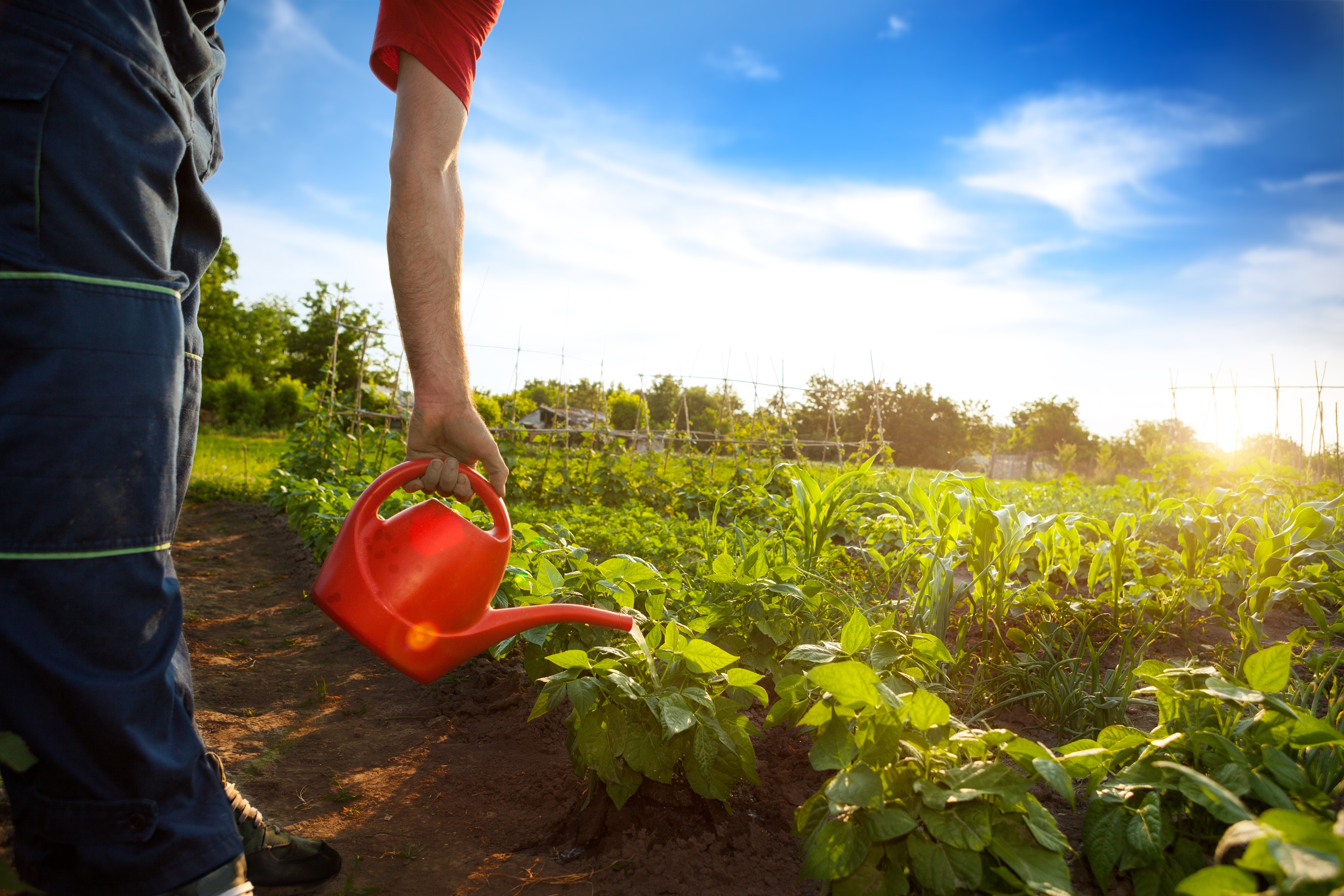 Insight farming enablers guide Insight Management Academy
